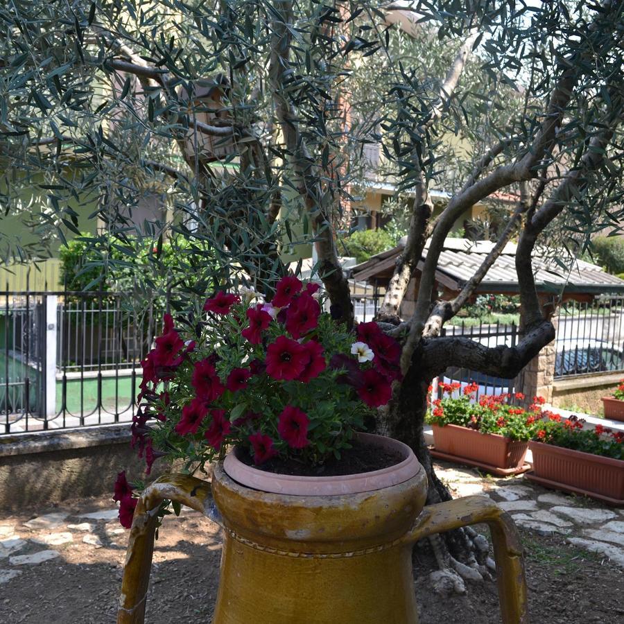 Riflessi D'Arte Bed and Breakfast Provaglio d'Iseo Buitenkant foto