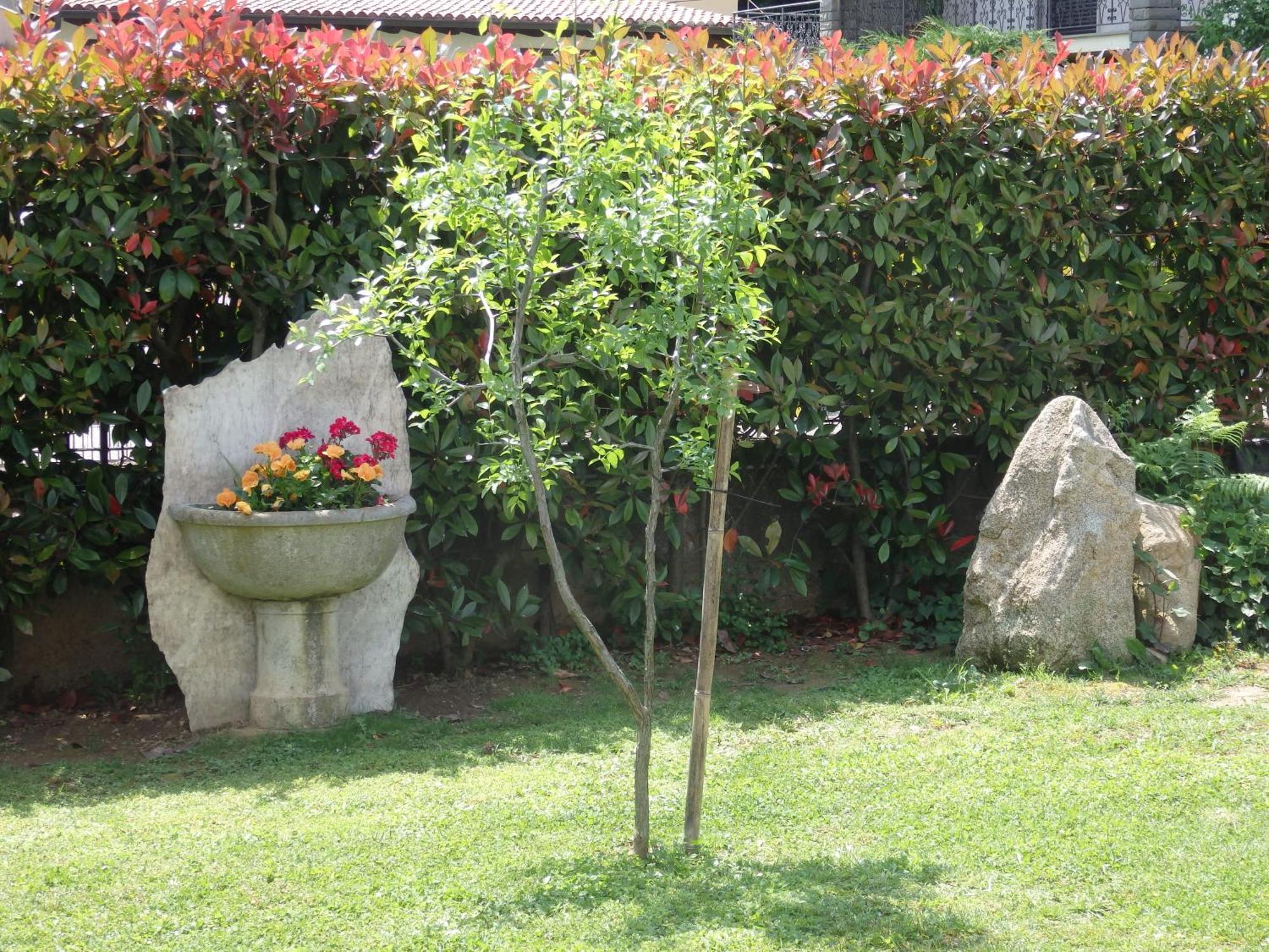 Riflessi D'Arte Bed and Breakfast Provaglio d'Iseo Buitenkant foto